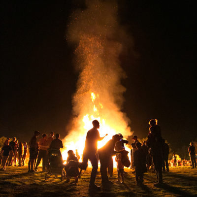 Santa Ynez Tree Burn Image