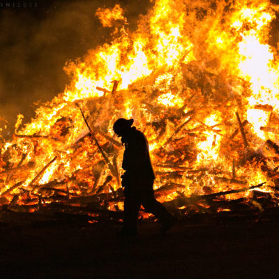 Tree Burn Image from Santa Ynez