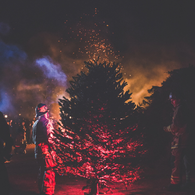 Glowing Tree